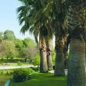 Seværdigheder i Motril – oplevelser & tips til din ferie i Andalusien